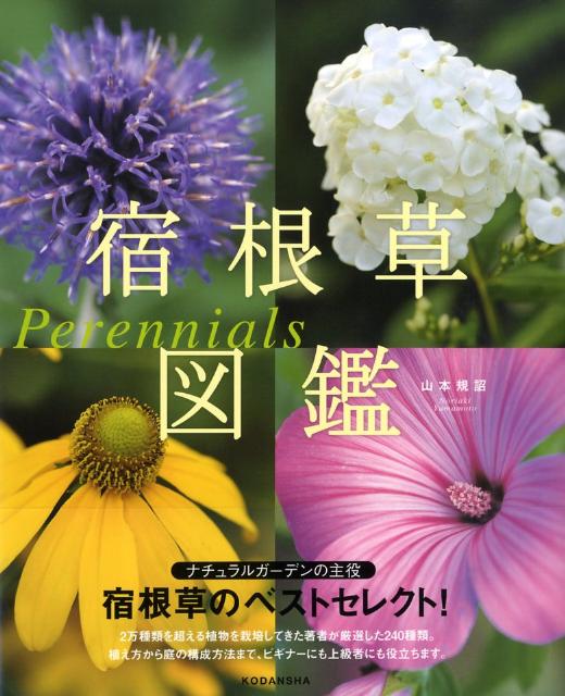 【中古】宿根草図鑑/講談社/山本規詔（単行本（ソフトカバー））