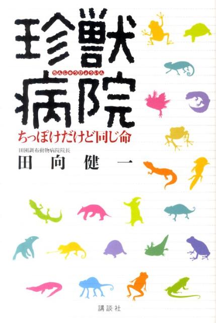【中古】珍獣病院 ちっぽけだけど同じ命/講談社/田向健一（単行本）