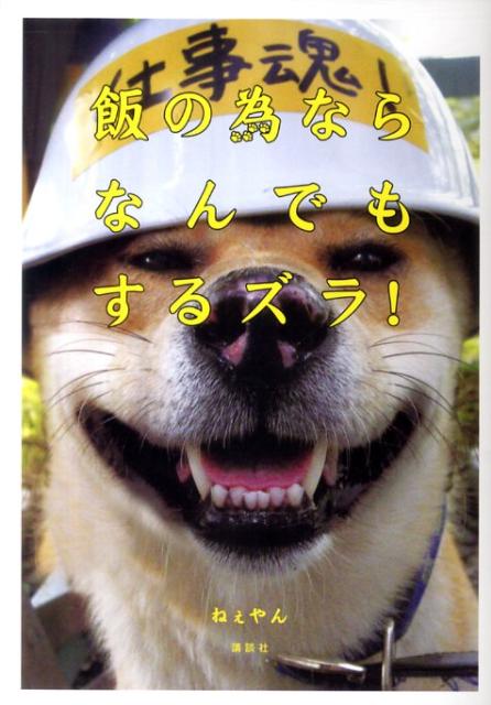 ◆◆◆おおむね良好な状態です。中古商品のため使用感等ある場合がございますが、品質には十分注意して発送いたします。 【毎日発送】 商品状態 著者名 ねぇやん 出版社名 講談社 発売日 2011年11月15日 ISBN 9784062172769