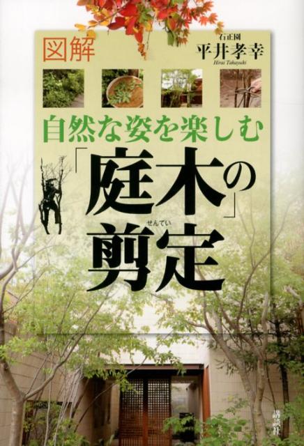 【中古】図解自然な姿を楽しむ「庭木」の剪定/講談社/平井孝幸（単行本（ソフトカバー））