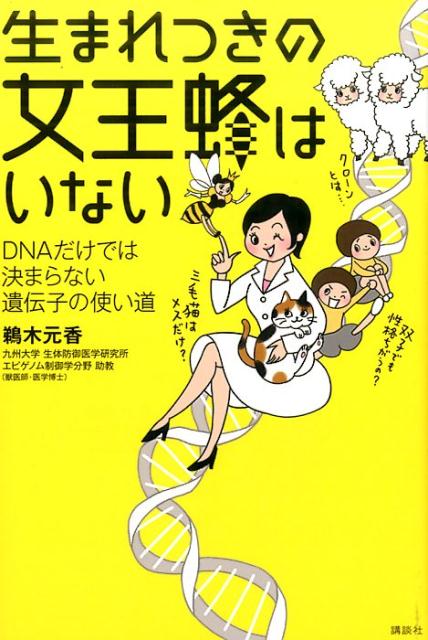 【中古】生まれつきの女王蜂はいない DNAだけでは決まらない遺伝子の使い道/講談社/鵜木元香（単行本（ソフトカバー））