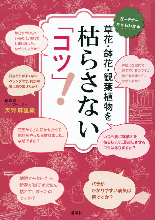 【中古】草花・鉢花・観葉植物を枯らさない「コツ」！/講談社/天野麻里絵（単行本（ソフトカバー））
