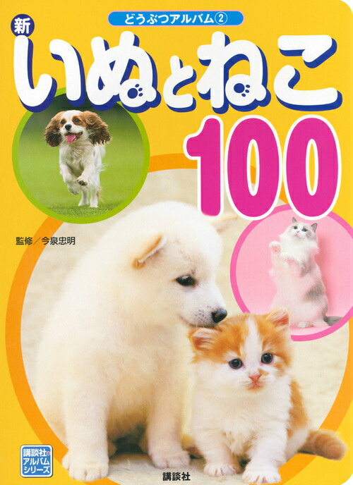 【中古】新いぬとねこ100/講談社/福田豊文（単行本）