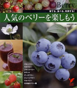 【中古】人気のベリ-を楽しもう 育てる、食べる、利用する！/主婦の友社/主婦の友社（単行本）