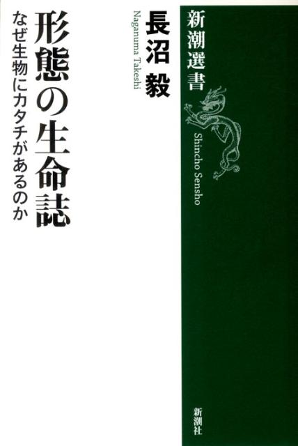 【中古】形態の生命誌 なぜ生物にカタチがあるのか/新潮社/長沼毅（単行本）