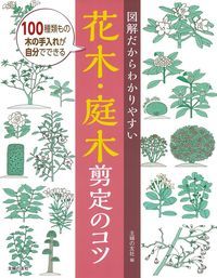 【中古】図解だからわかりやすい花木・庭木剪定のコツ/主婦の友社/主婦の友社（単行本（ソフトカバー））