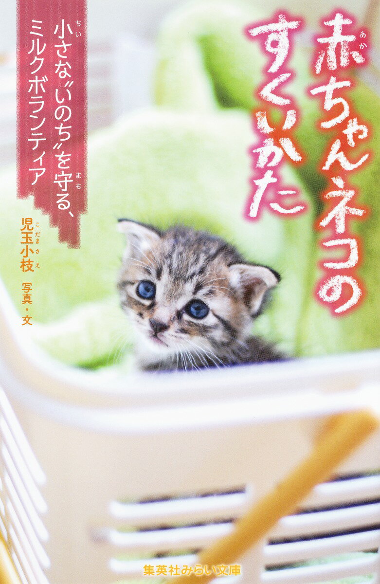 【中古】赤ちゃんネコのすくいかた 小さな“いのち”を守る、ミルクボランティア/集英社/児玉小枝（新書）
