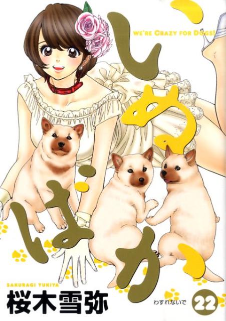 【中古】いぬばか 22/集英社/桜木雪弥（コミック）