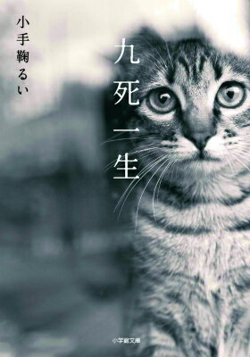 【中古】九死一生/小学館/小手鞠るい（文庫）