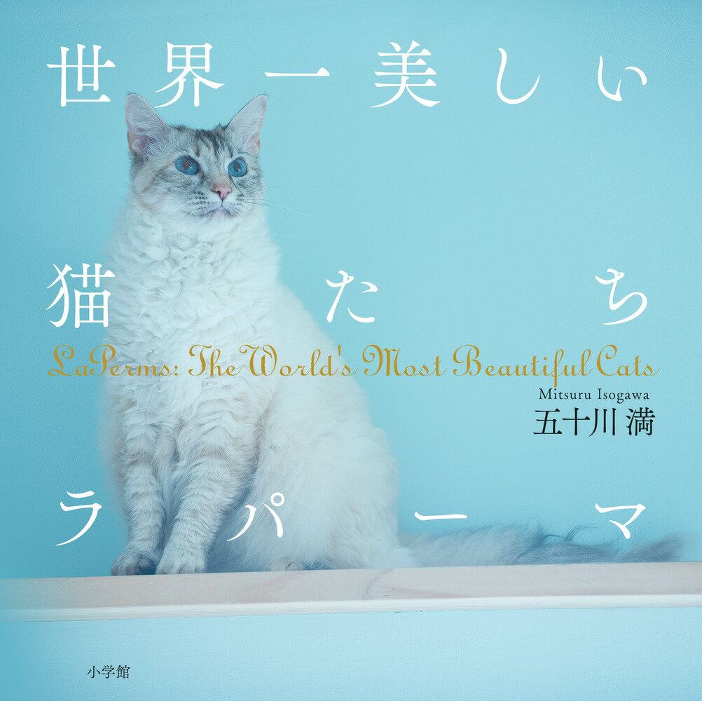 ◆◆◆非常にきれいな状態です。中古商品のため使用感等ある場合がございますが、品質には十分注意して発送いたします。 【毎日発送】 商品状態 著者名 五十川満 出版社名 小学館 発売日 2017年03月08日 ISBN 9784096822401