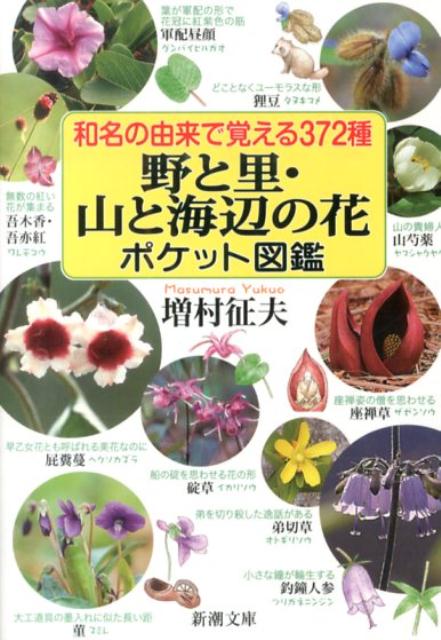 【中古】和名の由来で覚える372種野と里・山と海辺の花ポケット図鑑/新潮社/増村征夫（文庫）
