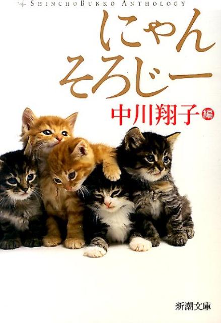 【中古】にゃんそろじ-/新潮社/中川翔子（文庫）