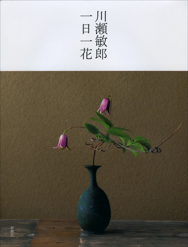 【中古】川瀬敏郎一日一花/新潮社/川瀬敏郎（単行本）