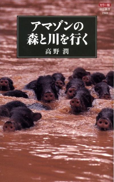 【中古】アマゾンの森と川を行く カラ-版/中央公論新社/高野潤（新書）
