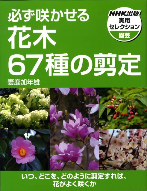 【中古】必ず咲かせる花木67種の剪定/NHK出版/妻鹿加年雄（単行本（ソフトカバー））