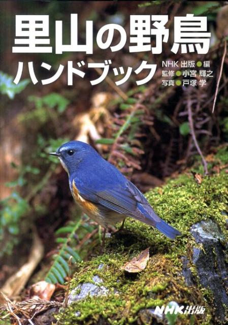 【中古】里山の野鳥ハンドブック/NHK出版/NHK出版（単行本（ソフトカバー））