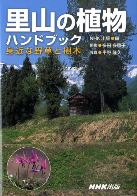 【中古】里山の植物ハンドブック 身近な野草と樹木/NHK出版/平野隆久（単行本（ソフトカバー））