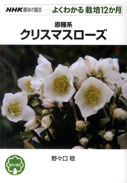 【中古】原種系クリスマスロ-ズ/NHK出版/野々口稔（単行本（ソフトカバー））