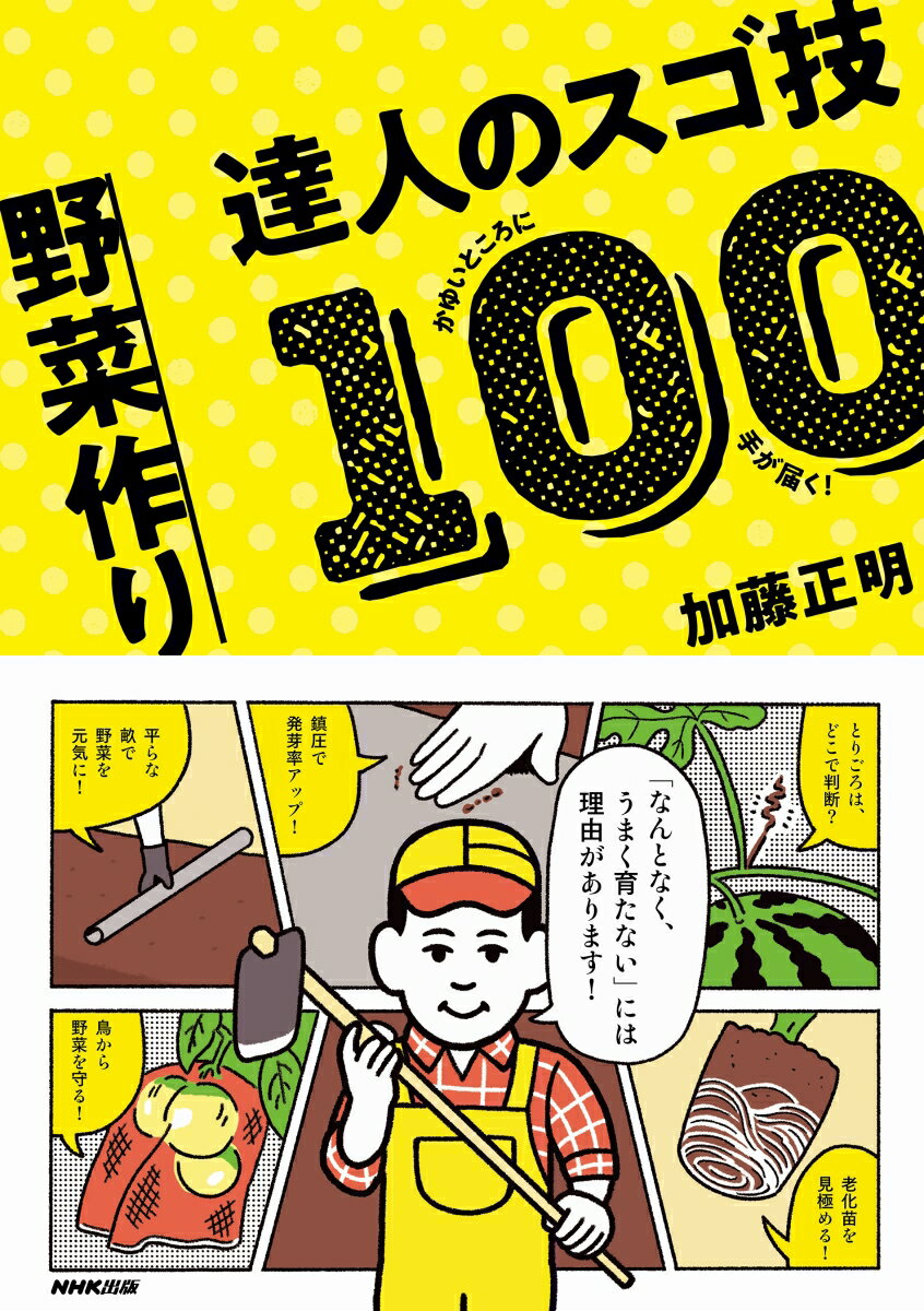 【中古】野菜作り達人のスゴ技100 かゆいところに手が届く！/NHK出版/加藤正明（単行本）