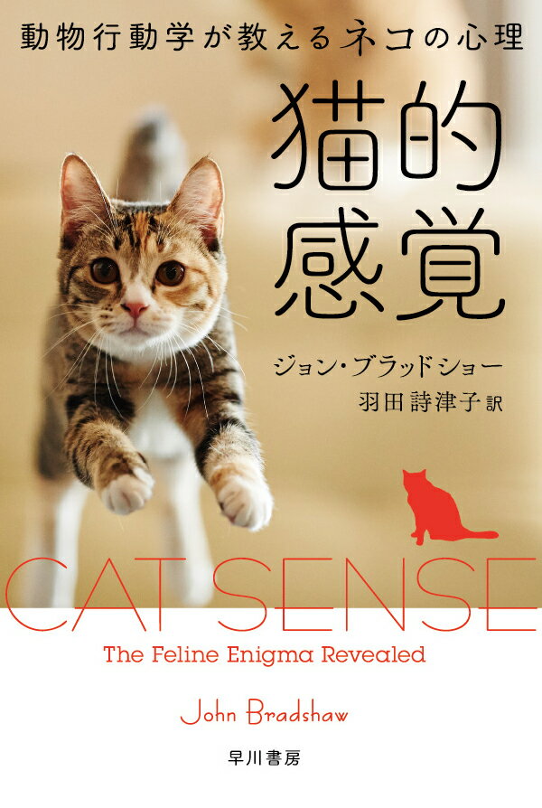 【中古】猫的感覚 動物行動学が教えるネコの心理/早川書房/ジョン・ブラッドショー（文庫）