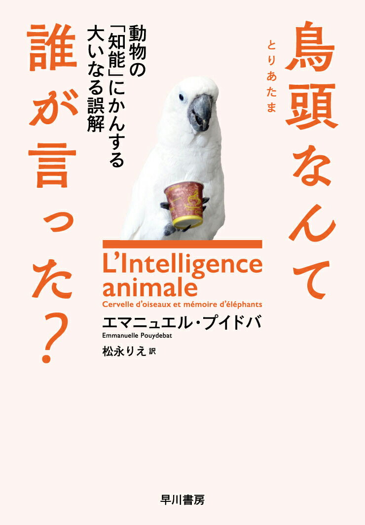 【中古】鳥頭なんて誰が言った？ 動物の「知能」にかんする大いなる誤解/早川書房/エマニュエル・プイドバ（単行本（ソフトカバー））