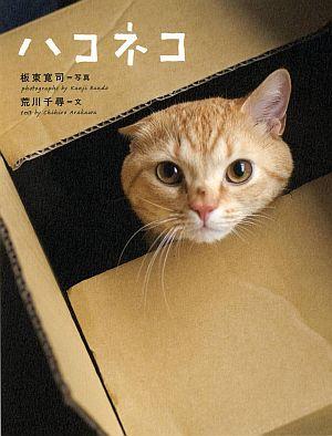 【中古】ハコネコ/文藝春秋/板東寛司（単行本）