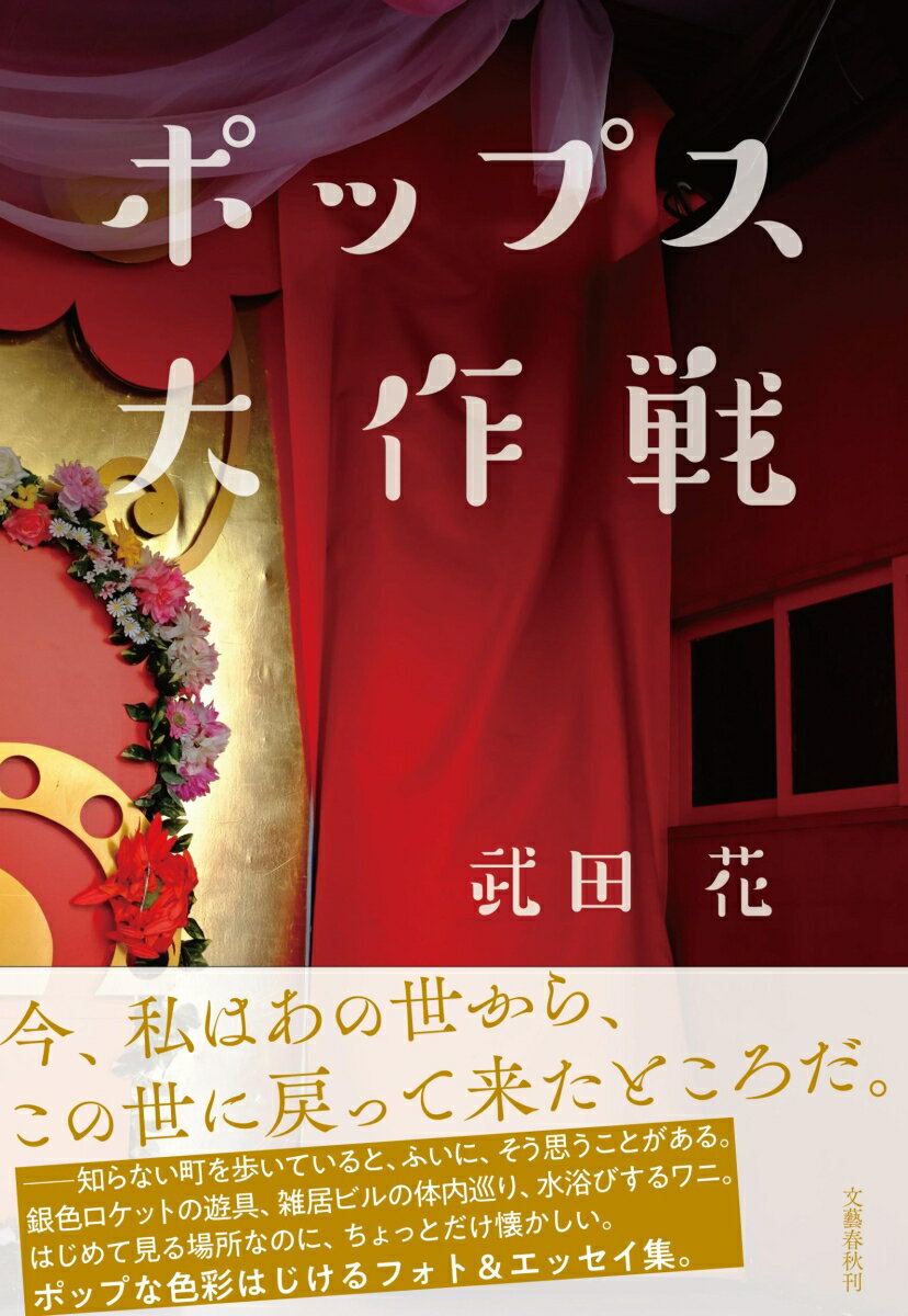 【中古】ポップス大作戦/文藝春秋/武田花（単行本）