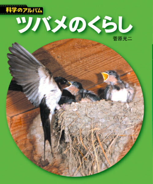 百科全书立即门槛 - 【中古】ツバメのくらし 新装版/あかね書房/菅原光二（単行本）