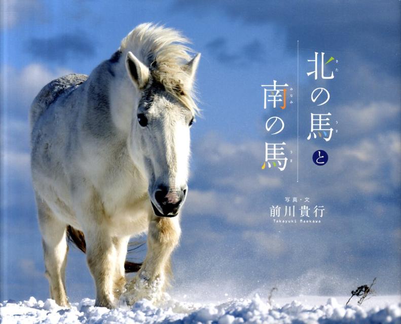 【中古】北の馬と南の馬/あかね書房/前川貴行（大型本）