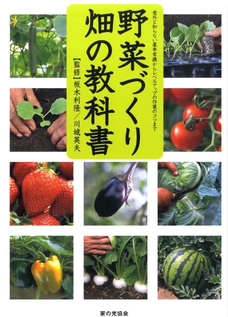 【中古】野菜づくり畑の教科書 意外と知らない基本常識からレベルアップの作業のコツ/家の光協会/板木..