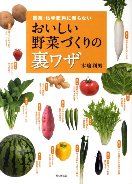 【中古】おいしい野菜づくりの裏ワザ 農薬・化学肥料に頼らない/家の光協会/木嶋利男（単行本）