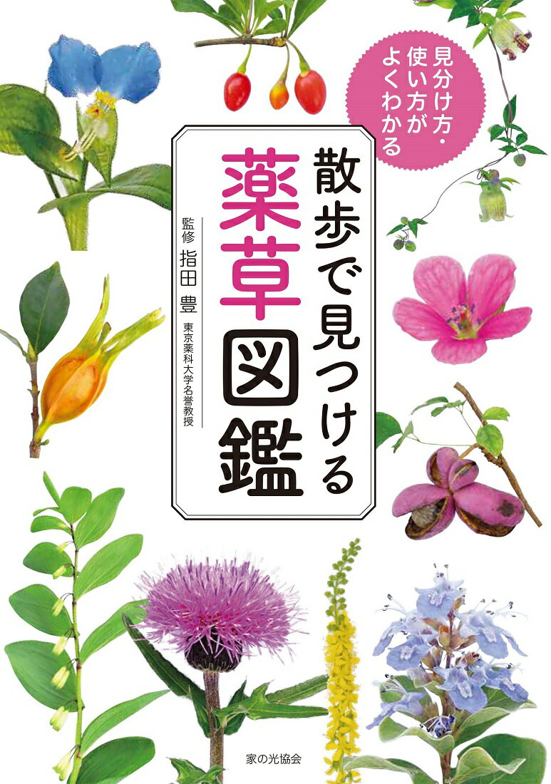 【中古】散歩で見つける薬草図鑑 見分け方・使い方がよくわかる/家の光協会/指田豊（単行本）