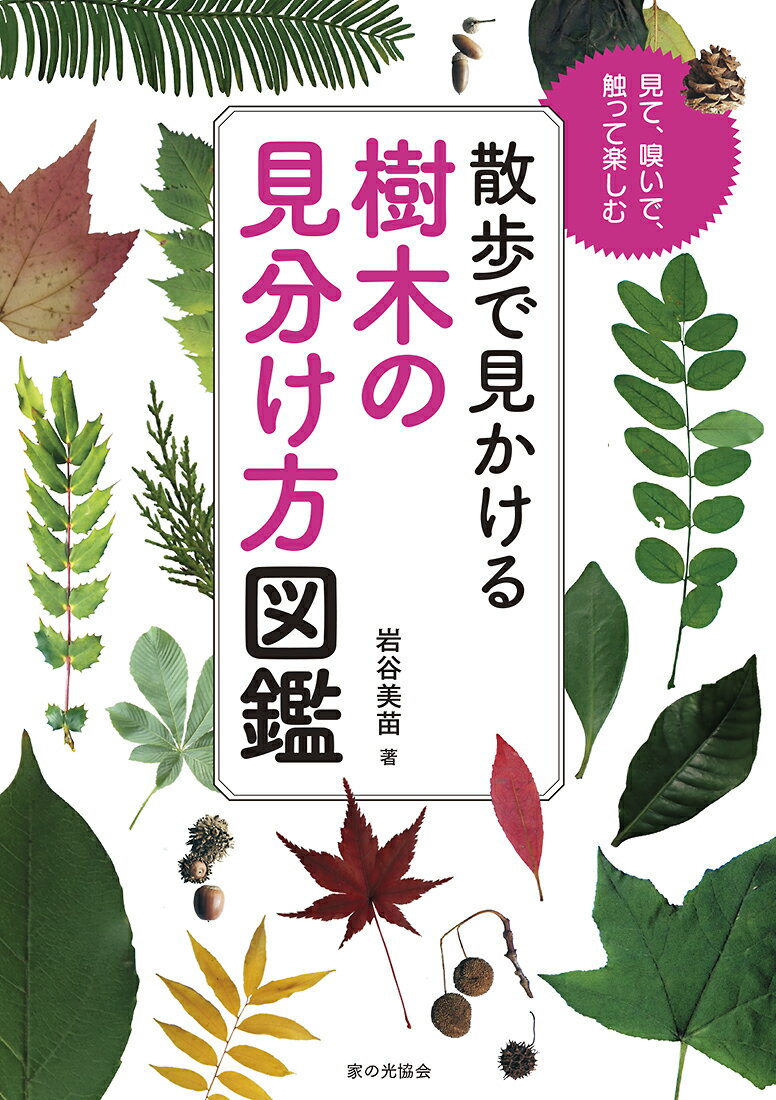 【中古】散歩で見かける樹木の見分け方図鑑/家の光協会/岩谷美苗（単行本）