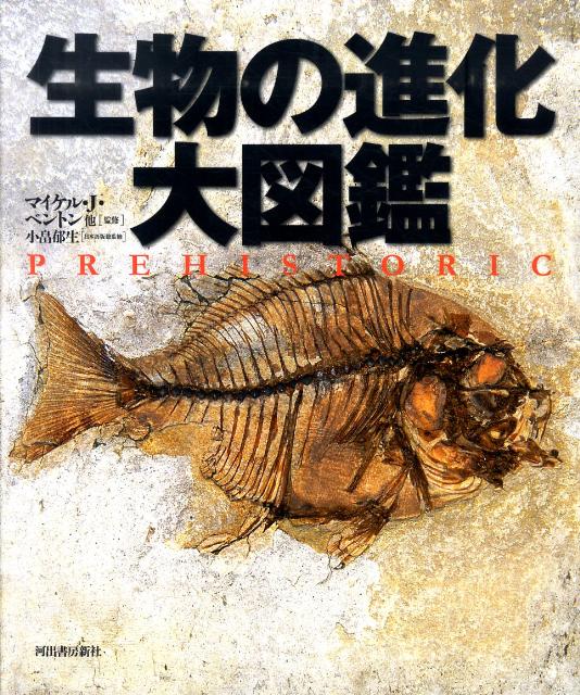 【中古】生物の進化大図鑑/河出書房新社/マイケル・ベントン（大型本）