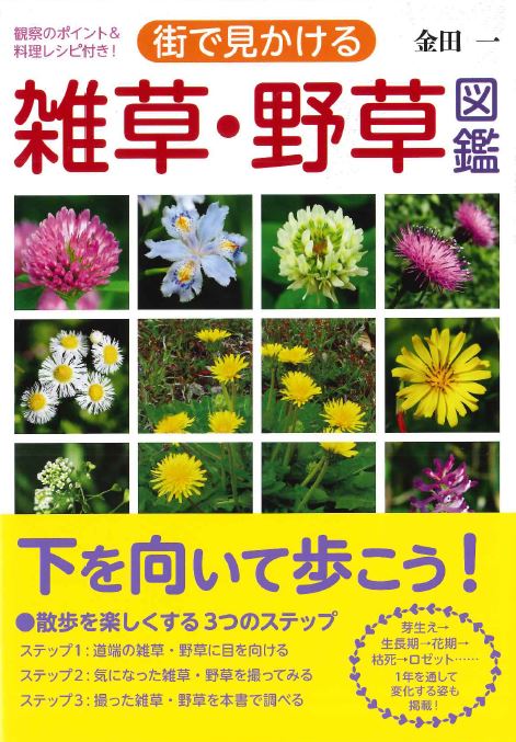 【中古】街で見かける雑草・野草図鑑/交通新聞社/金田一（単行本（ソフトカバー））