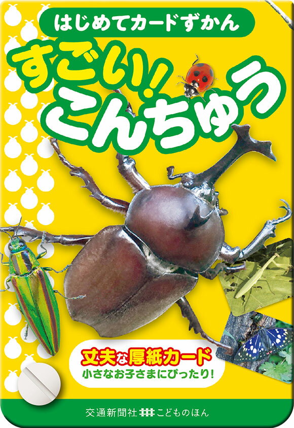 【中古】すごい！こんちゅう/交通新聞社（単行本）