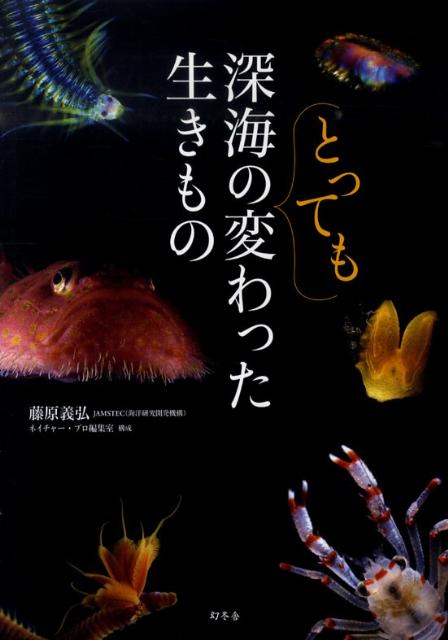 【中古】深海のとっても変わった生きもの/幻冬舎/藤原義弘（単行本（ソフトカバー））