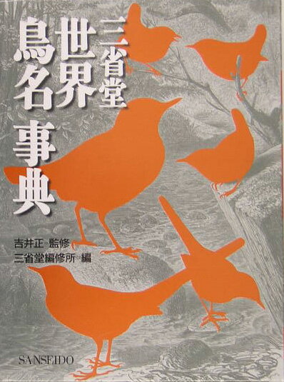 ����šۻ���Ʋ����Ļ̾��ŵ/����Ʋ/����Ʋ��ñ���ܡ�