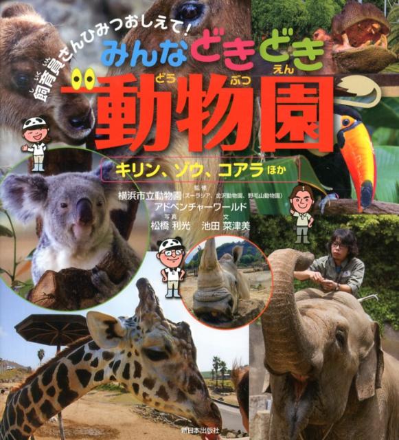 【中古】みんなどきどき動物園 飼育員さんひみつおしえて！ キリン、ゾウ、コアラほか/新日本出版社/松橋利光（大型本）