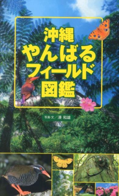 【中古】沖縄やんばるフィ-ルド図鑑/実業之日本社/湊和雄（単行本）