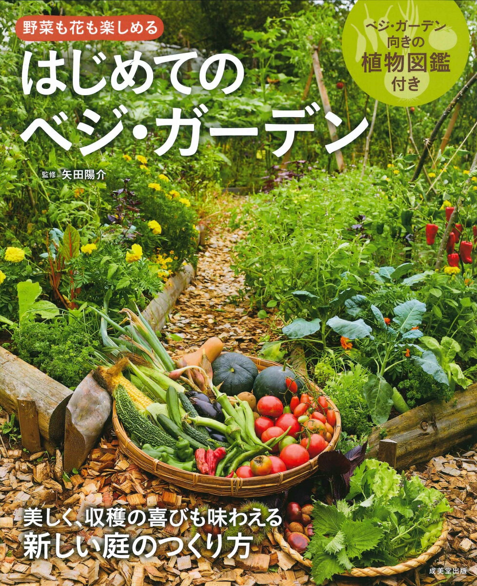 【中古】はじめてのベジ・ガーデン/成美堂出版/矢田陽介（ムック）