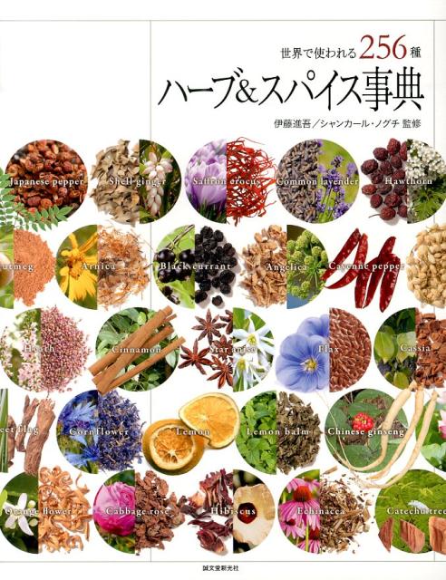 【中古】ハ-ブ＆スパイス事典 世界で使われる256種/誠文堂新光社/伊藤進吾（単行本）