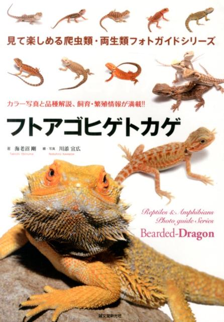【中古】フトアゴヒゲトカゲ カラ-写真と品種解説、飼育・繁殖情報が満載！！/誠文堂新光社/海老沼剛（単行本）