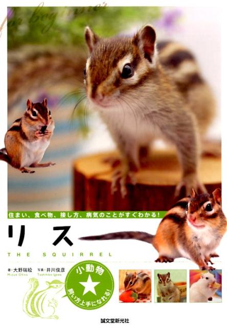 【中古】リス/誠文堂新光社/大野瑞絵（単行本）