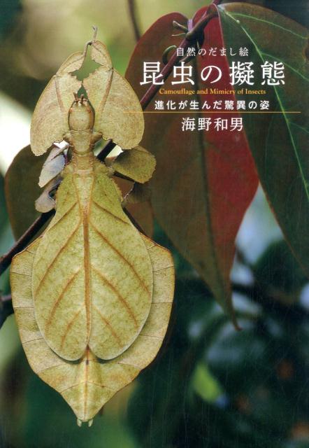 ◆◆◆おおむね良好な状態です。中古商品のため使用感等ある場合がございますが、品質には十分注意して発送いたします。 【毎日発送】 商品状態 著者名 海野和男 出版社名 誠文堂新光社 発売日 2015年05月 ISBN 9784416615959