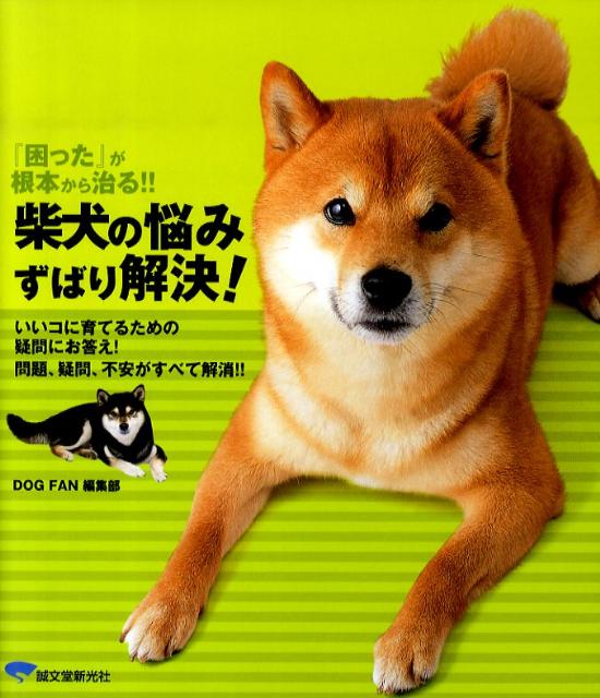 【中古】柴犬の悩みずばり解決！ 『困った』が根本から治る！！/誠文堂新光社/誠文...