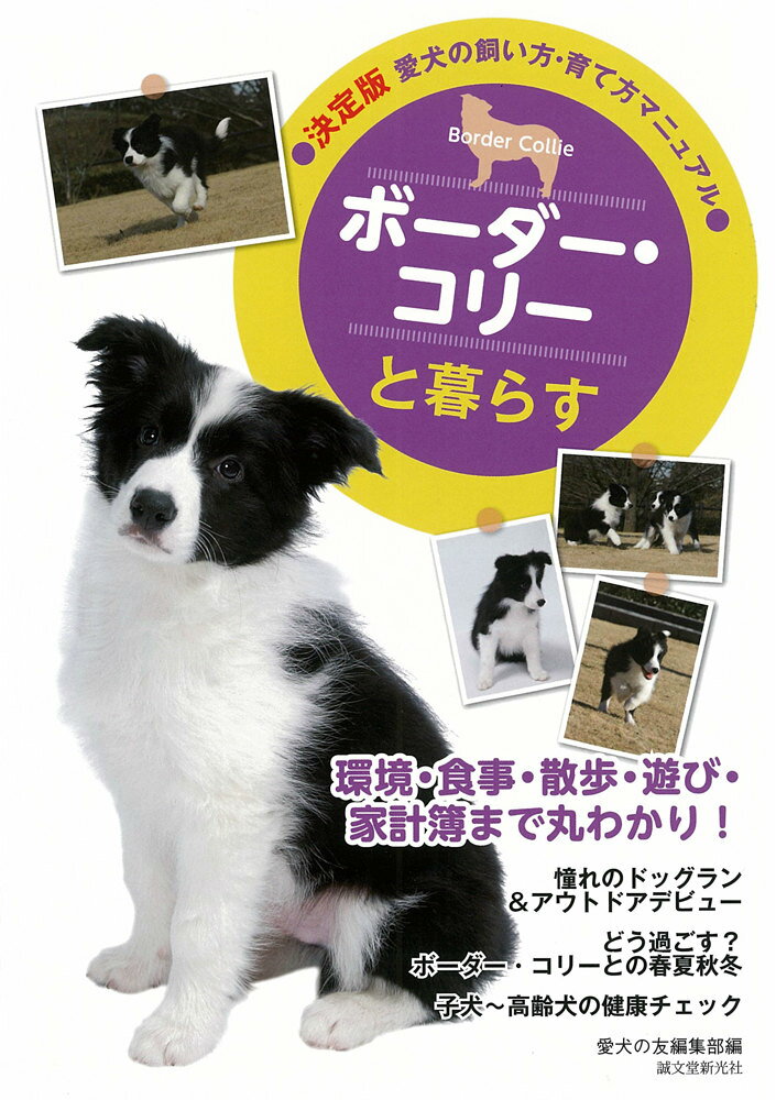 楽天市場】愛犬の友 コリーの通販