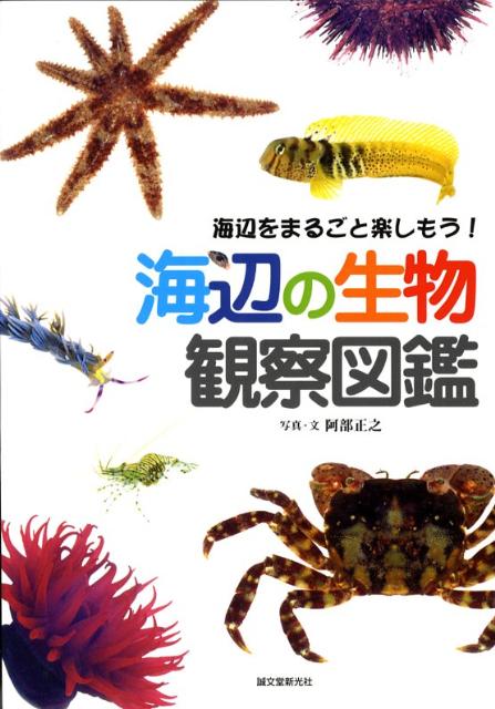 【中古】海辺の生物観察図鑑 海辺をまるごと楽しもう！/誠文堂新光社/阿部正之（単行本）