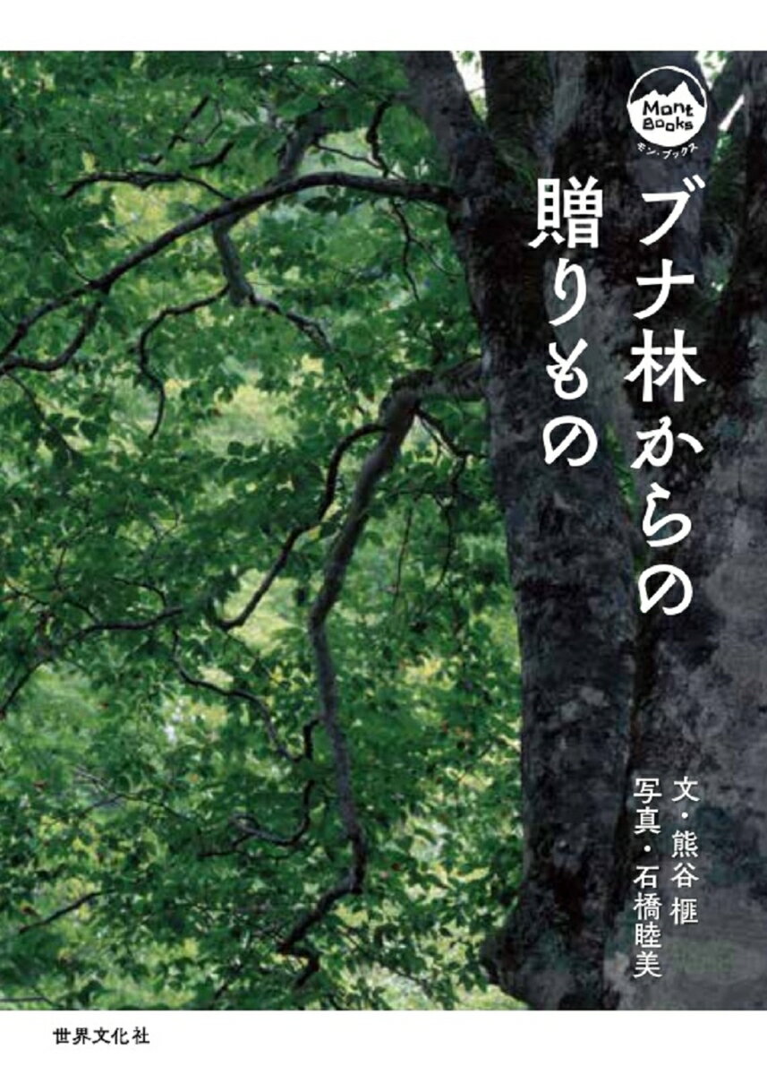 【中古】ブナ林からの贈りもの/世界文化社/熊谷榧（文庫）