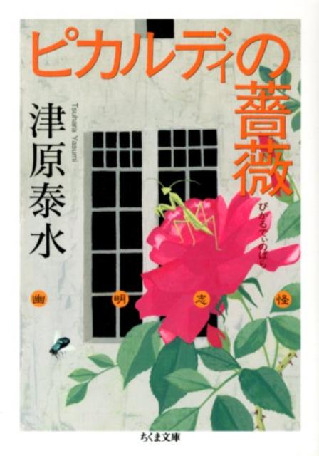 【中古】ピカルディの薔薇/筑摩書房/津原泰水（文庫）